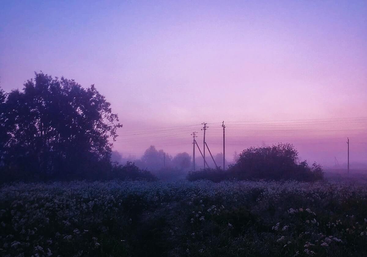 PG官方平台：开启信任、体验与共创的数字新纪元